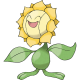 Sunflora